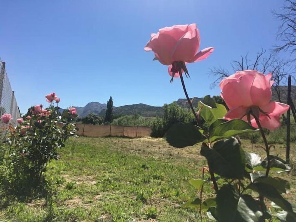Casa Rural La Maestra 론다 외부 사진
